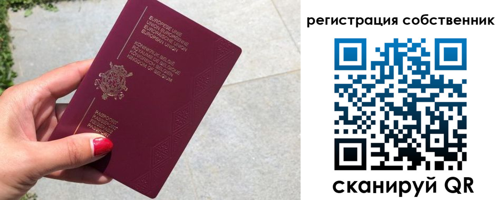 временная регистрация поиск в Снежногорске